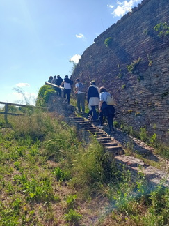 IMG20260517161648